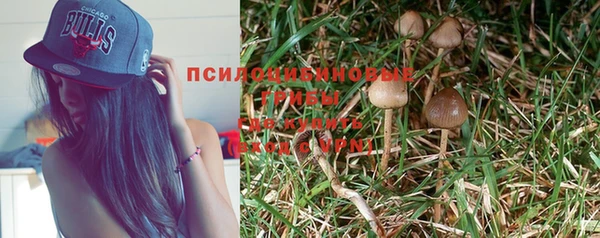 мет Козельск