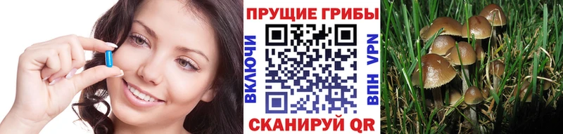 Псилоцибиновые грибы ЛСД  Купить  Фатеж 